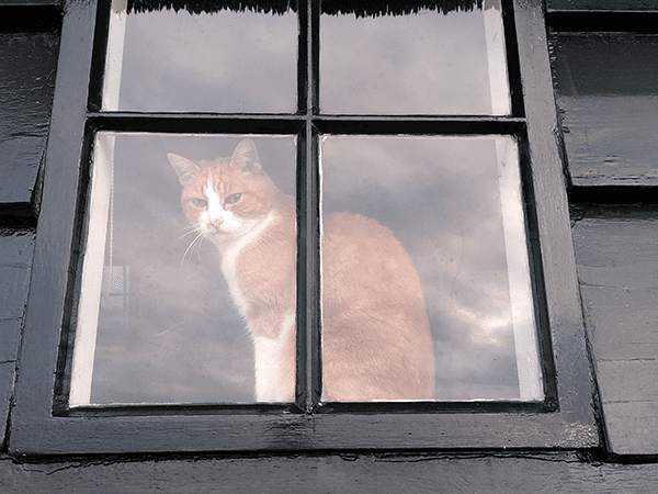 Woning – leven in een monument