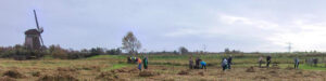 Natuurwerkdag 2 november